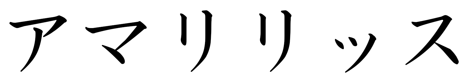 Amaryllis in Japanese